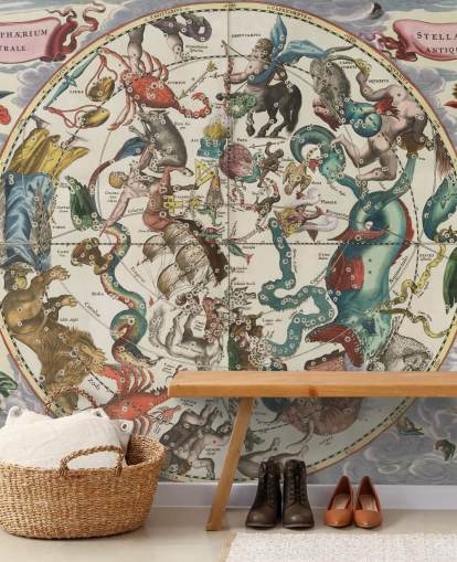 murale astronomico personalizzabile chiamato The Southern Stellar Hemisphere of Antiquity