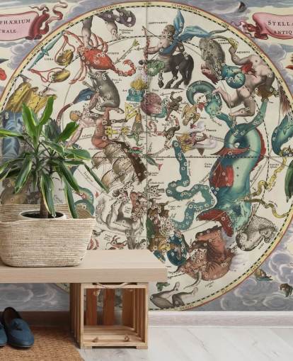 mural astronómico personalizable llamado The Southern Stellar Hemisphere of Antiquity