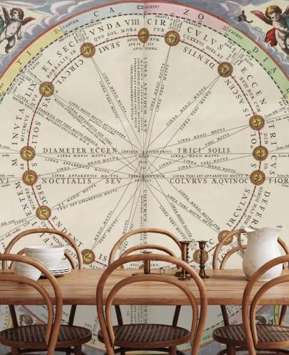 star map mural called The Theory of the Sun's Motion for creative studios and offices