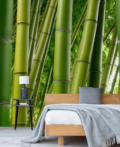 Papel pintado panorámico Bamboo Forest