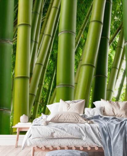 Bamboo Forest Panor