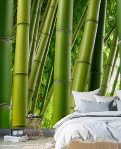 Bambus skog panoramautsikt