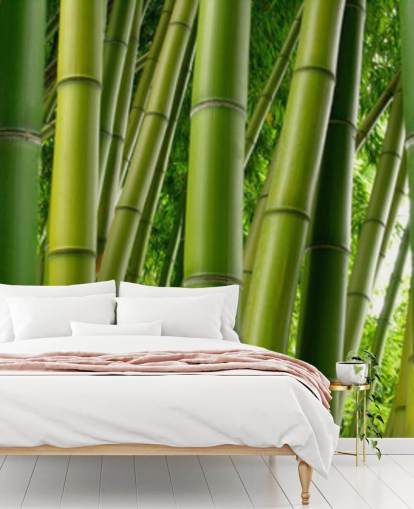 Papel pintado panorámico Bamboo Forest Papel pintado panorámico Bamboo Forest