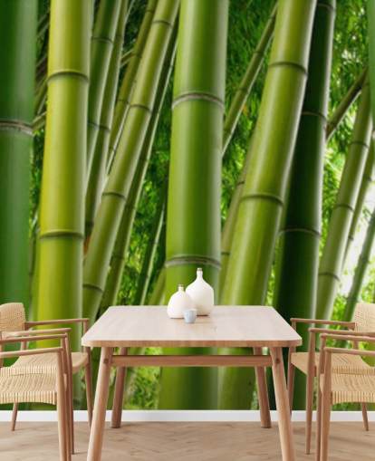 Papel pintado panorámico Bamboo Forest