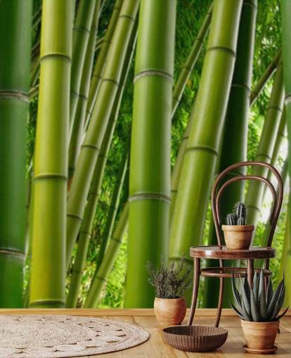 Papel pintado panorámico Bamboo Forest
