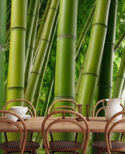 Bamboo Forest Panoramic Wallpaper