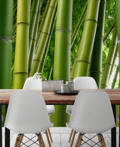 Papel pintado panorámico Bamboo Forest
