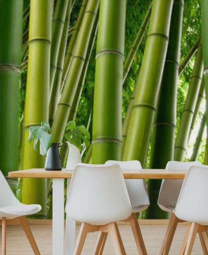 Bamboo Forest Panoramic Wallpaper