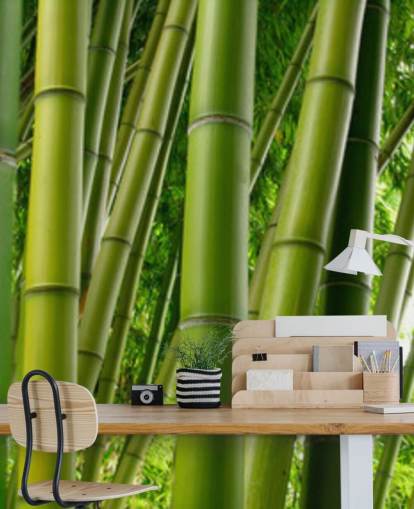 Papel pintado panorámico Bamboo Forest