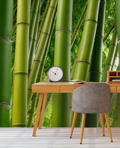 Papel pintado panorámico Bamboo Forest