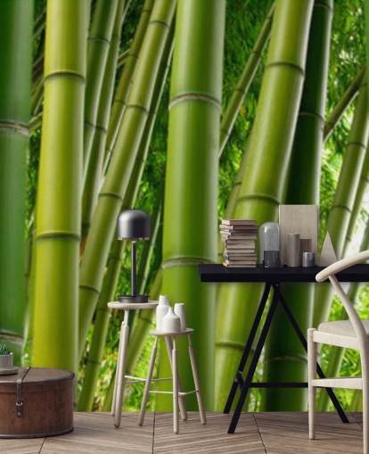 Bamboo Forest Panor