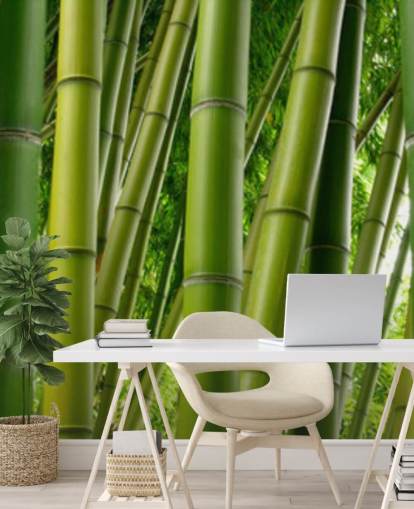 Bambu skog Panorama Bakgrund