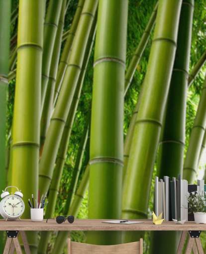 Bamboo Forest Panor