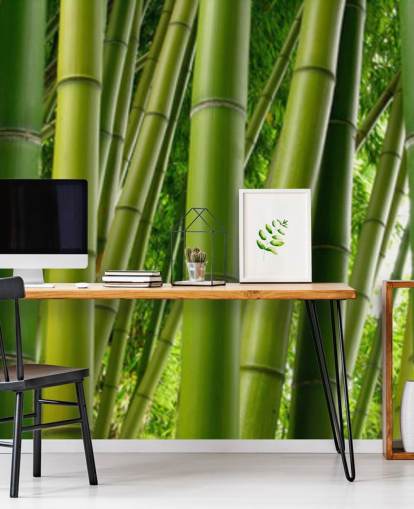 Papel pintado panorámico Bamboo Forest