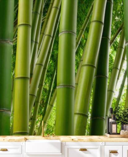Bamboo Forest Panoramic Wallpaper