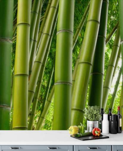 Bamboo Forest Panoramic Wallpaper