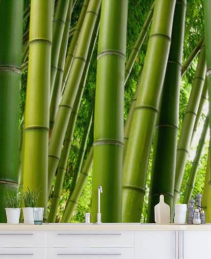 Bamboo Forest Panoramic Wallpaper Bamboo Forest Panoramic Wallpaper
