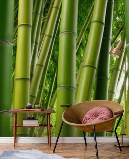 Bamboo Forest Panor Bamboo Forest Panor