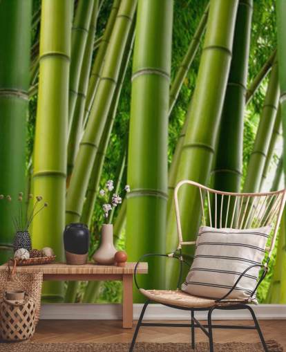 Bambu skog Panorama Bakgrund