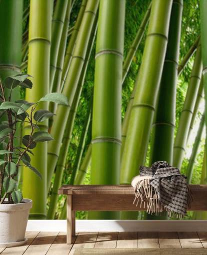 Bamboo Forest Panoramic Wallpaper