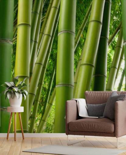 Bamboo Forest Panoramic Wallpaper