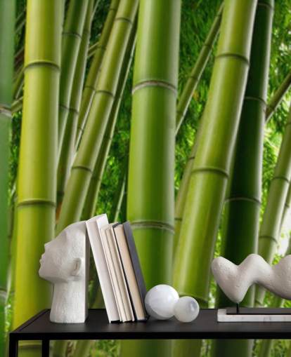 Bamboo Forest Panoramic Wallpaper