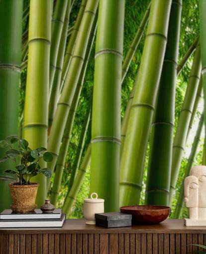 Bamboo Forest Panoramic Wallpaper