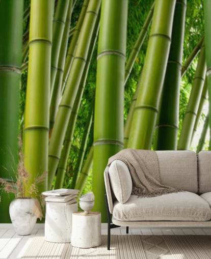 Papel pintado panorámico Bamboo Forest