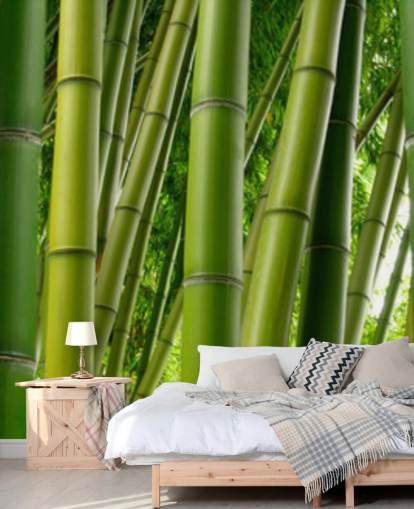 Papel pintado panorámico Bamboo Forest