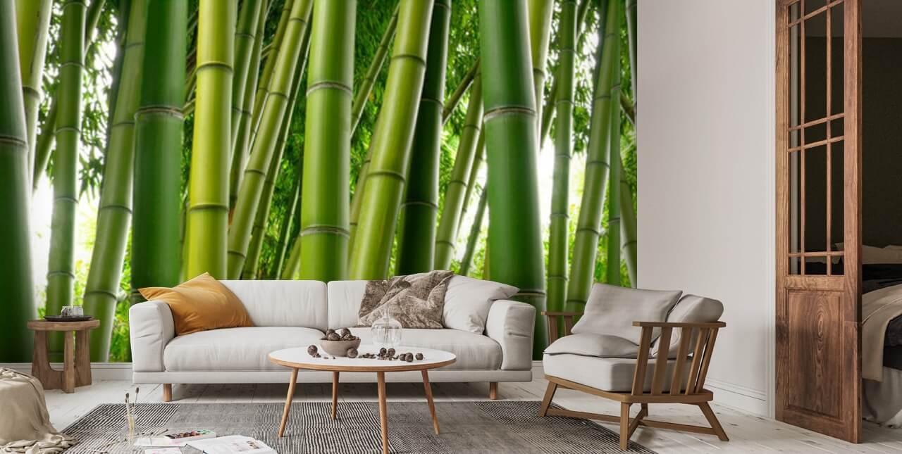 Bamboo Jungle Wallpaper | Wallsauce UK