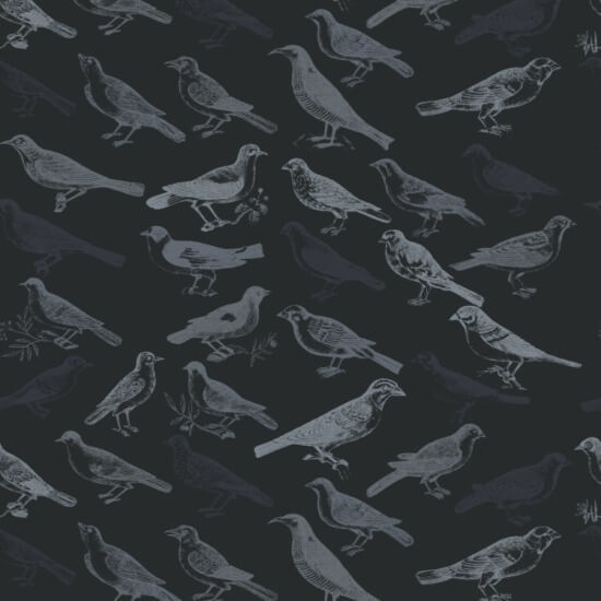 Tweeter Fondo de pantalla negro