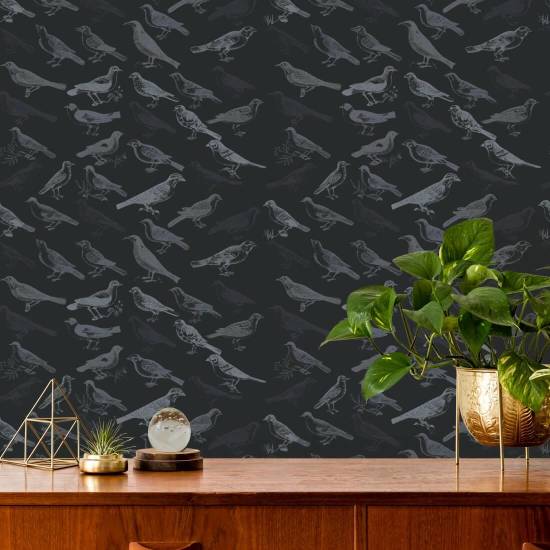 Diskanthøyttaler Svart Bakgrunn