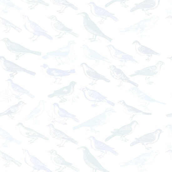 Tweeter Fondo de pantalla azul