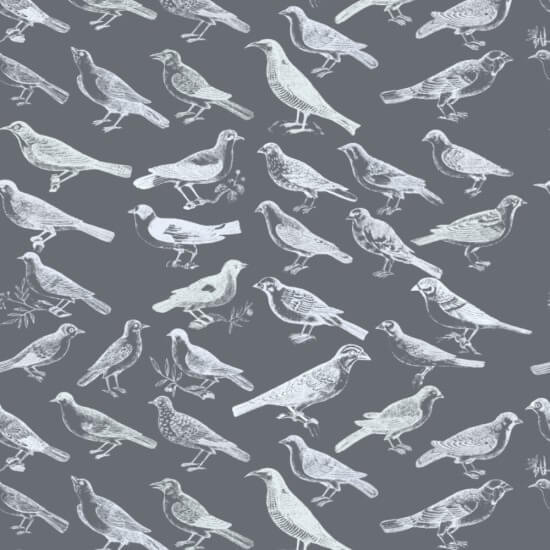 Tweeter Gray Wallpaper