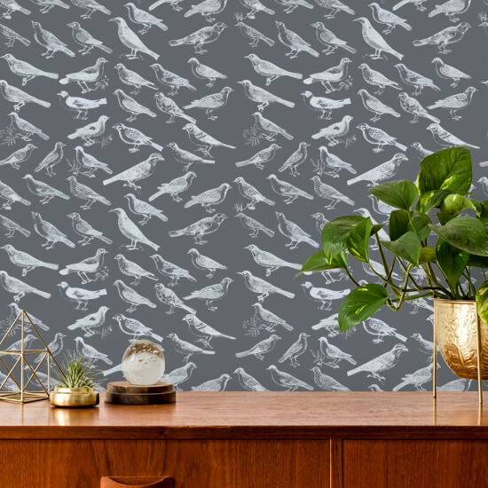 Tweeter Gray Wallpaper