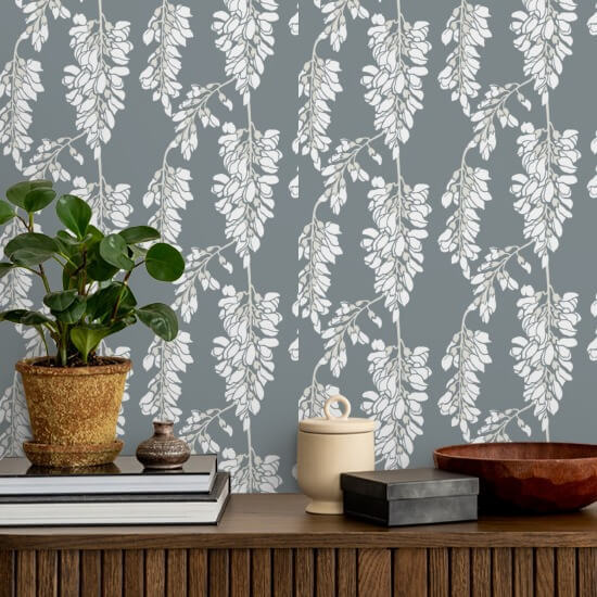 Wisteria kukka Harmaa taustakuva