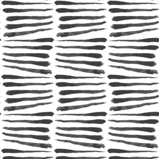 Zebra Svartvit Bakgrund