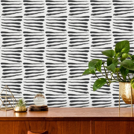 Zebra Svartvit Bakgrund