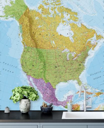 Political North America Kaart muurschildering