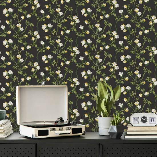 Épines de rose Papier peint floral Soot Black