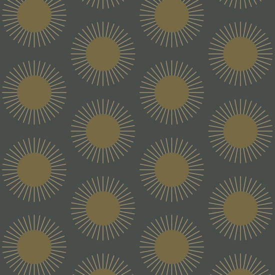 raggiera Carta da parati Midnight Sun