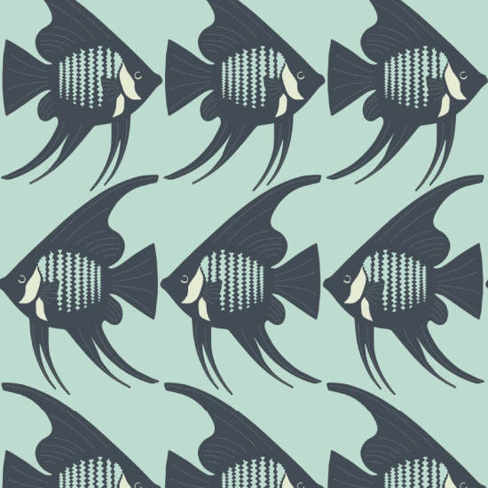 Peixe anjo Papel de parede turquesa