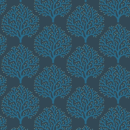 Beach Coral Midnight Sky Wallpaper