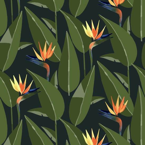 Birds of Paradise Black Wallpaper