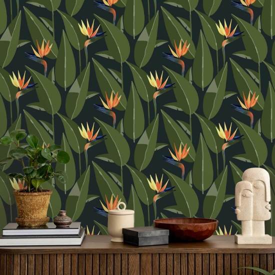 Aves do Paraíso Papel de parede preto