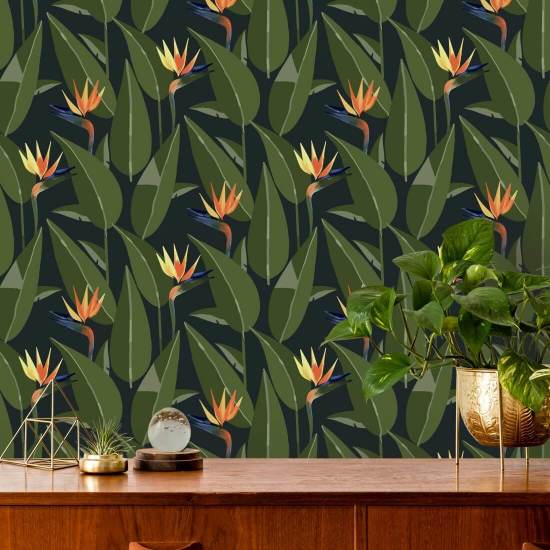 Paradijsvogels Zwart behang