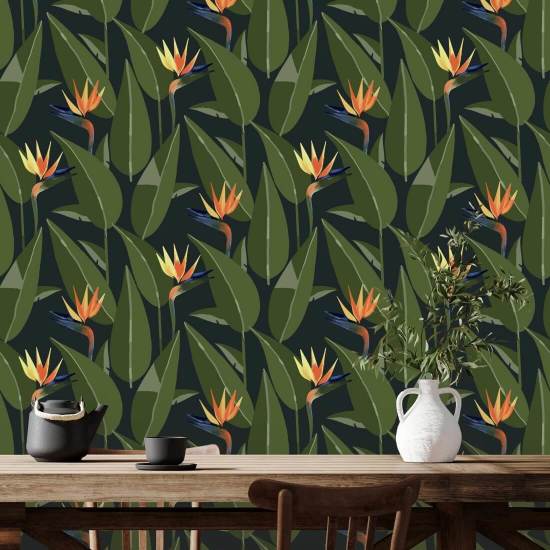 Oiseaux de paradis Papier peint noir