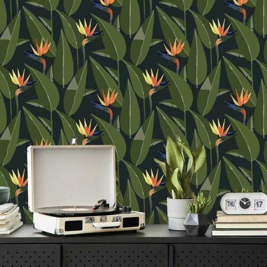 Birds of Paradise Black Wallpaper