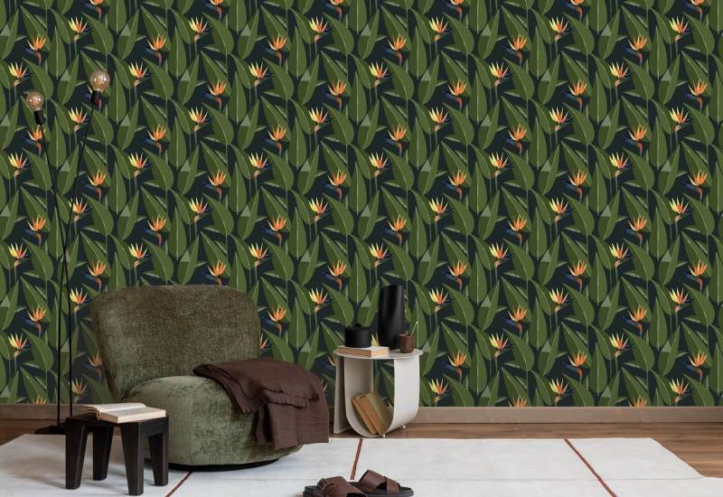Oiseaux de paradis Papier peint noir
