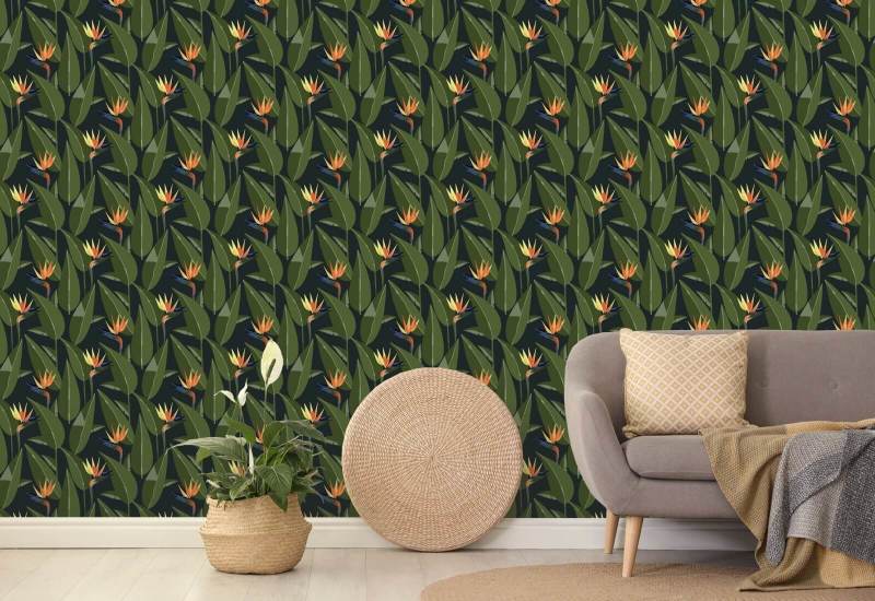 Birds of Paradise Black Wallpaper